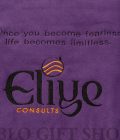 Eliye Consults Branded Light Fleece Blanket
