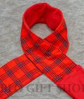 Checked Maasai Scarf with Heavy Red Fleece